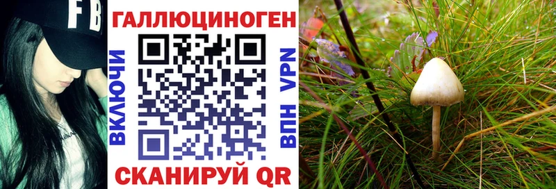 даркнет сайт  ссылка на мегу tor  Псилоцибиновые грибы GOLDEN TEACHER  Нижний Ломов 